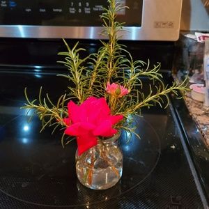 Meet your Posher, Chau